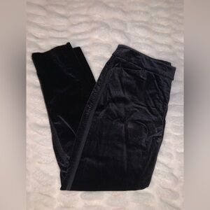 White House Black Market Black Velvet Pants